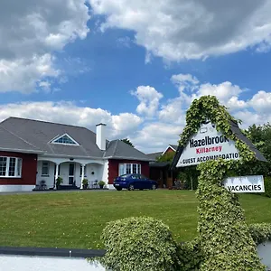 Hazelbrook Gasthuis Killarney
